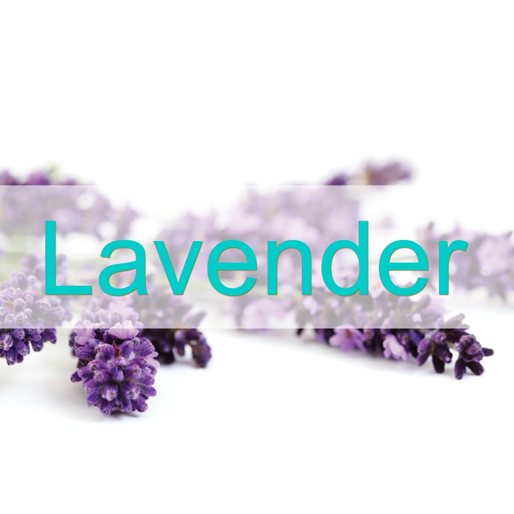 lavender-1000px-lh.jpg